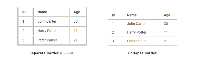 Table Border Model Illustration